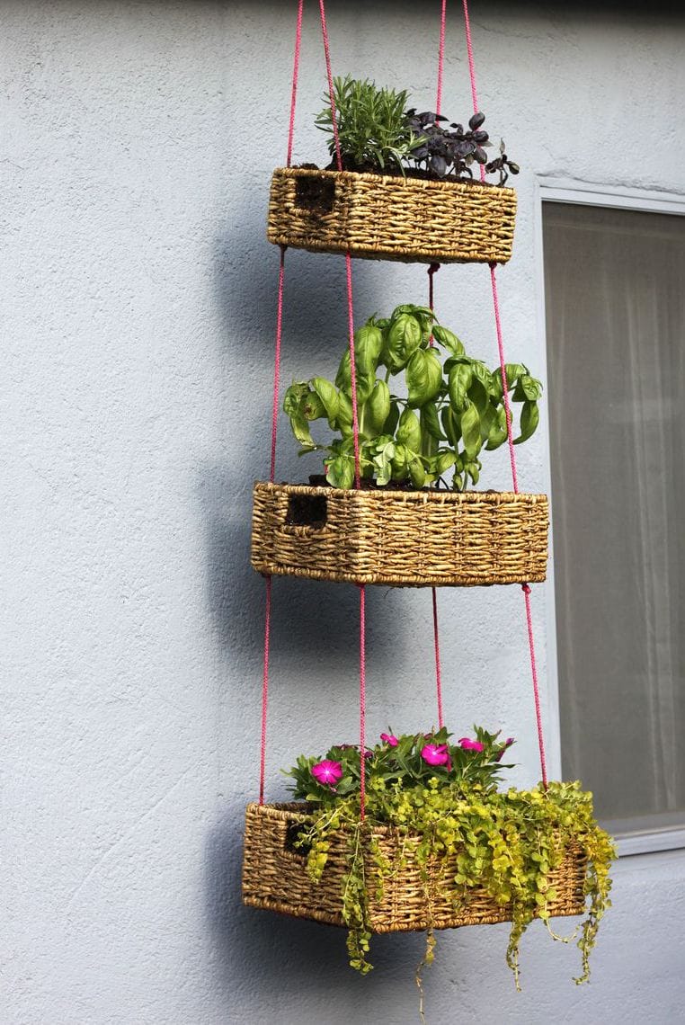 Check what to plant in a vertical garden #verticalgarden