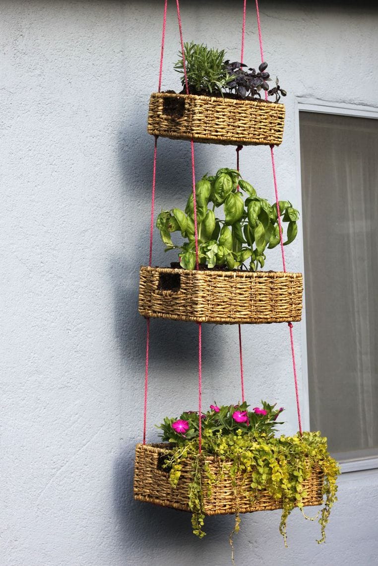 Check best plants for vertical garden #verticalgarden Check what to plant in a vertical garden #verticalgarden