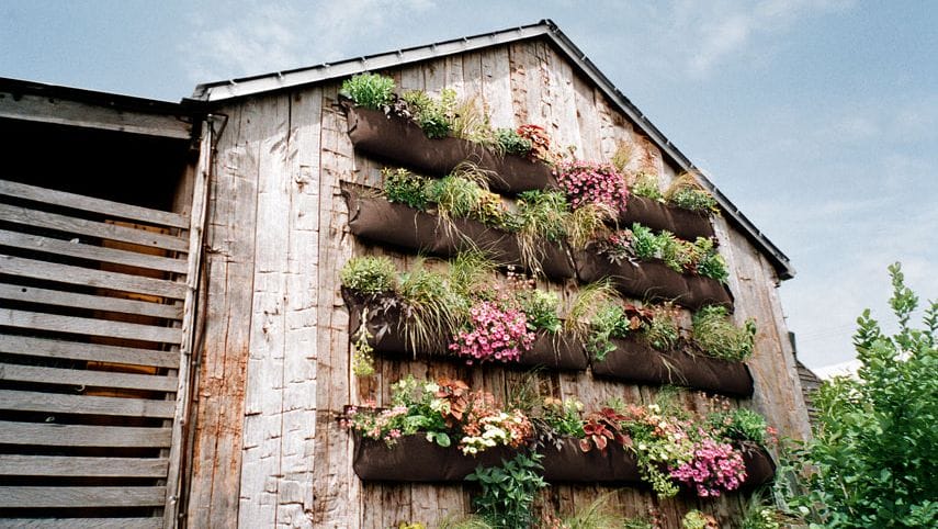 The best where can i buy a vertical garden #verticalgarden