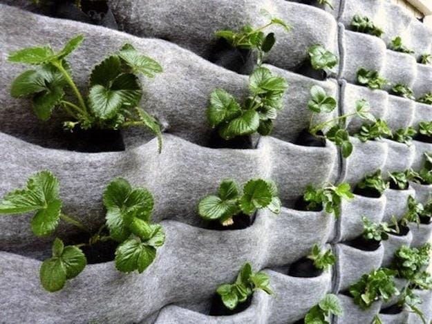 Super a living wall #verticalgarden Super 15 vertical garden ideas #verticalgarden