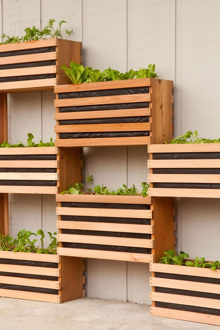 These wall veggie garden #verticalgarden
