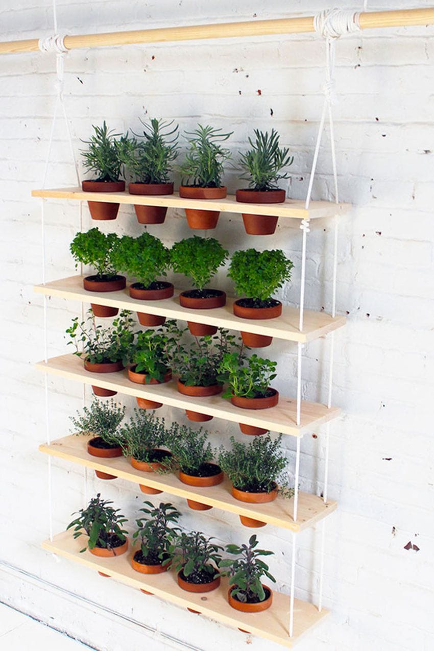 Simple best vegetables for vertical gardening #verticalgarden Simple watering vertical garden #verticalgarden