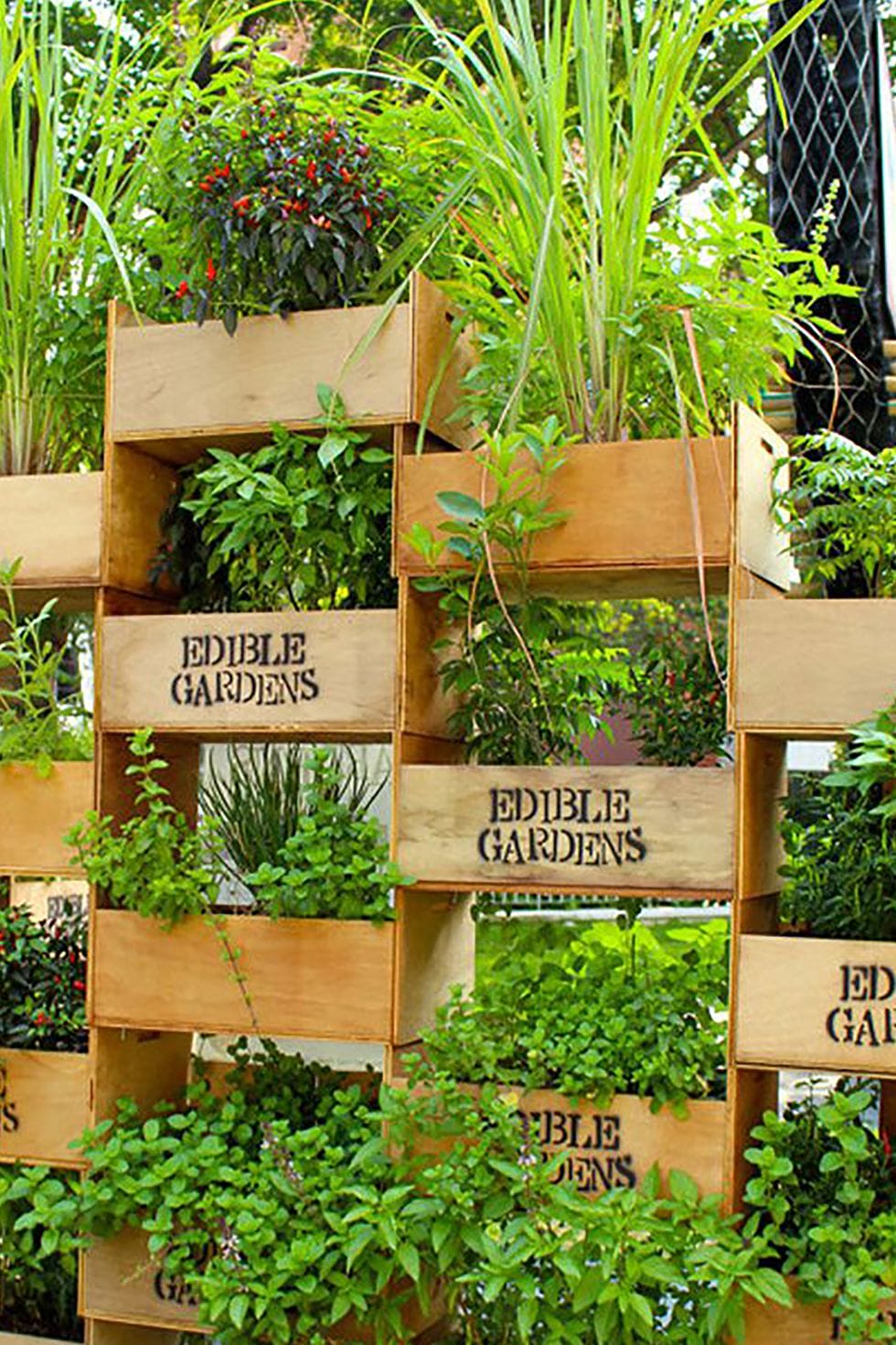 Elegant walled garden for sale #verticalgarden