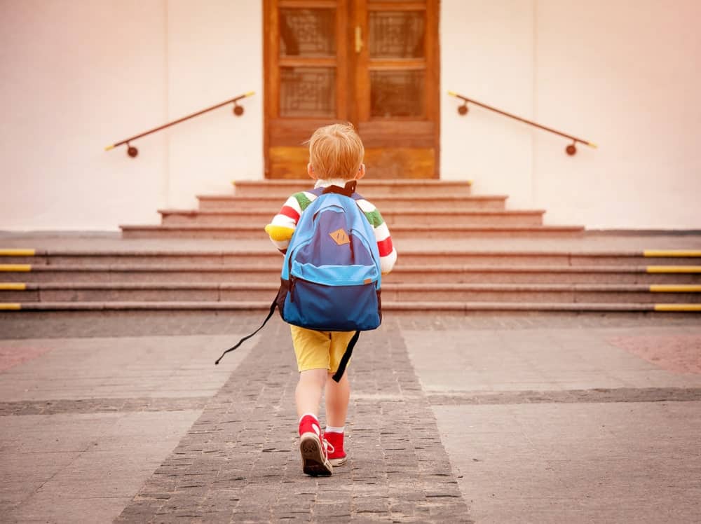 types of schools in chicago