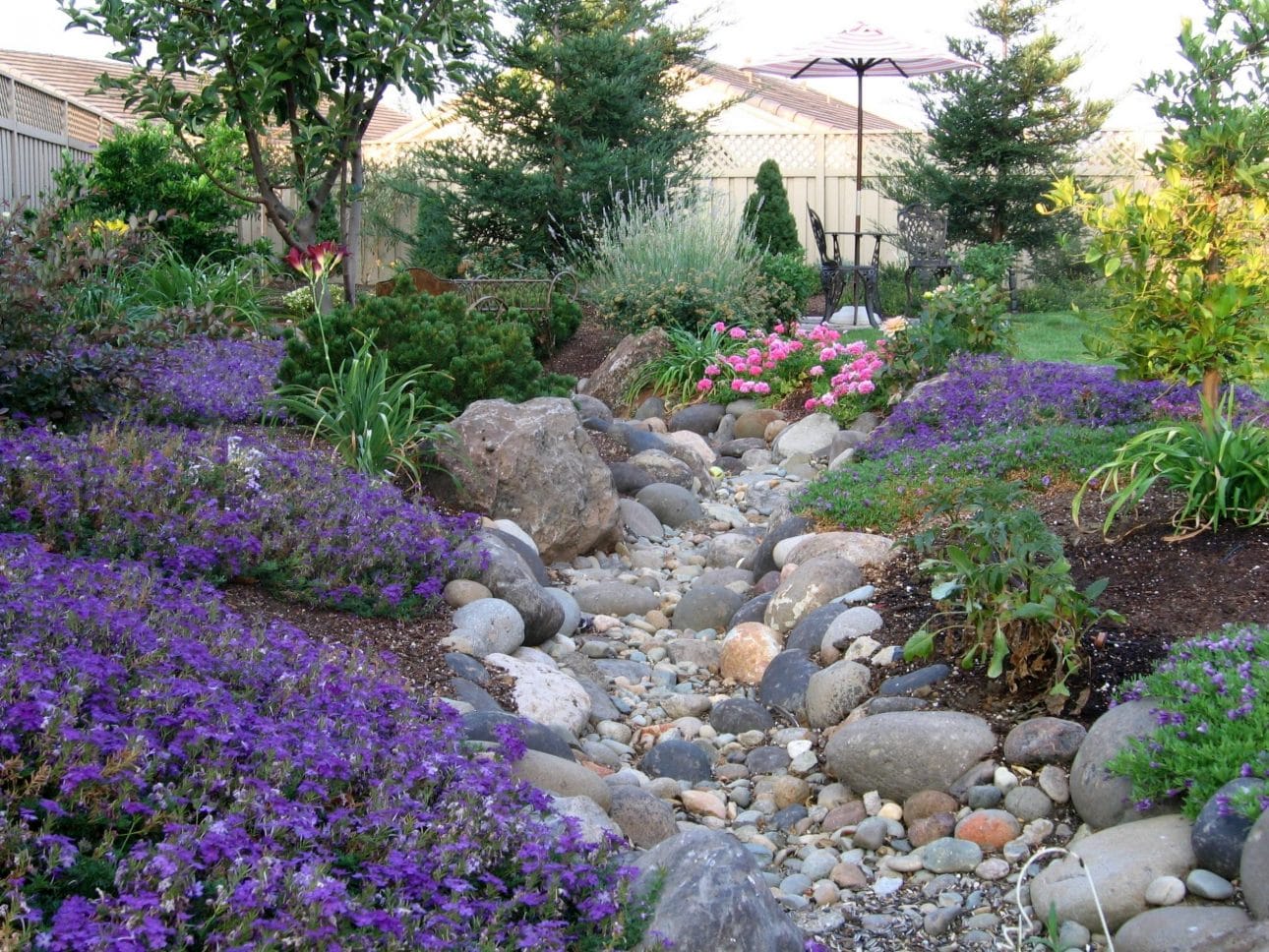 Dry River Bed Landscaping Plants