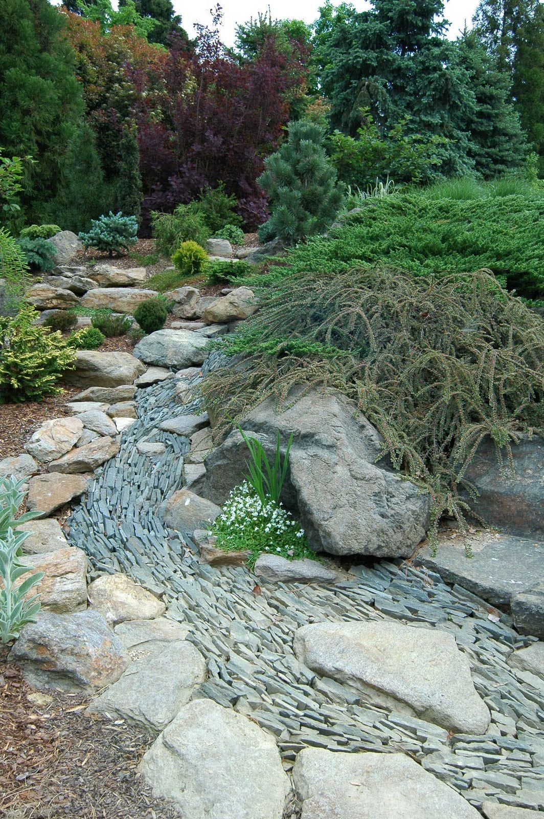 Japanese Style Dry Creek Bed Landscaping