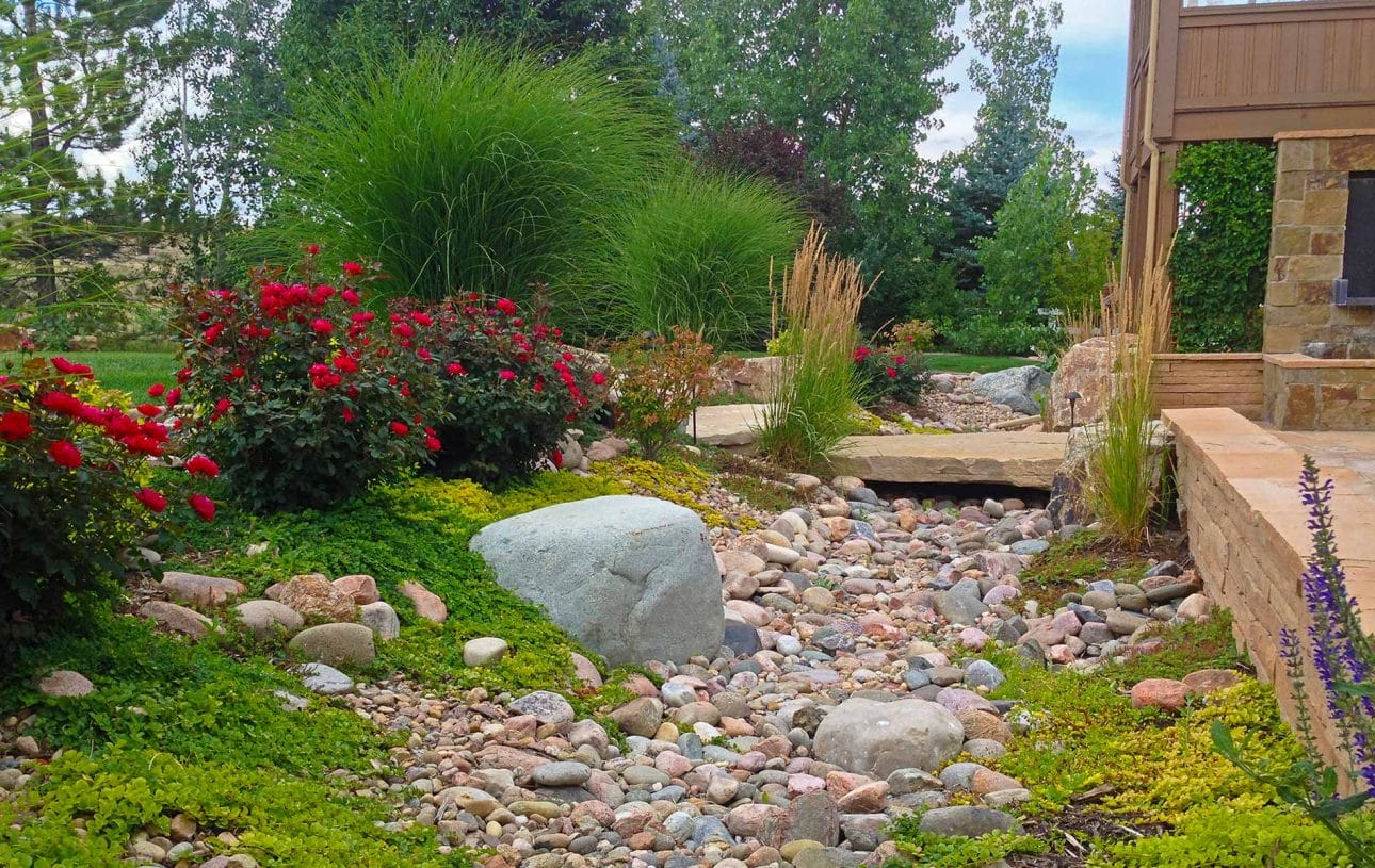 Large Dry Creek Bed Garden