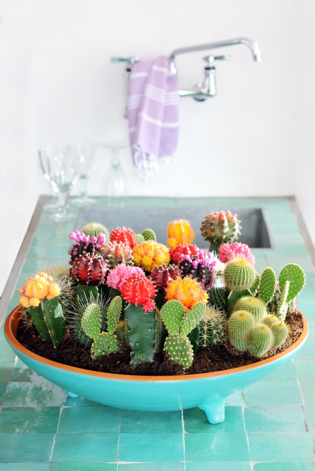 Turquoise Succulent Bowl