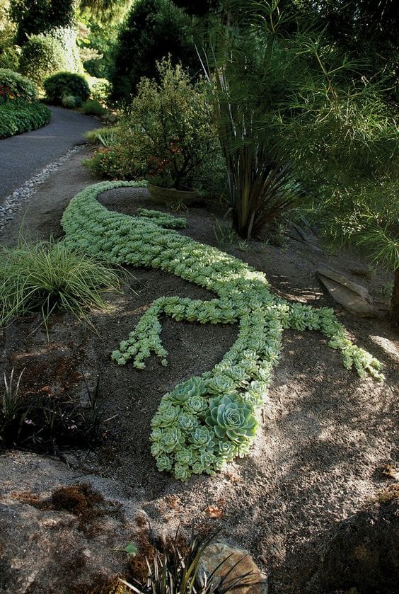 Rock Garden with Sedum