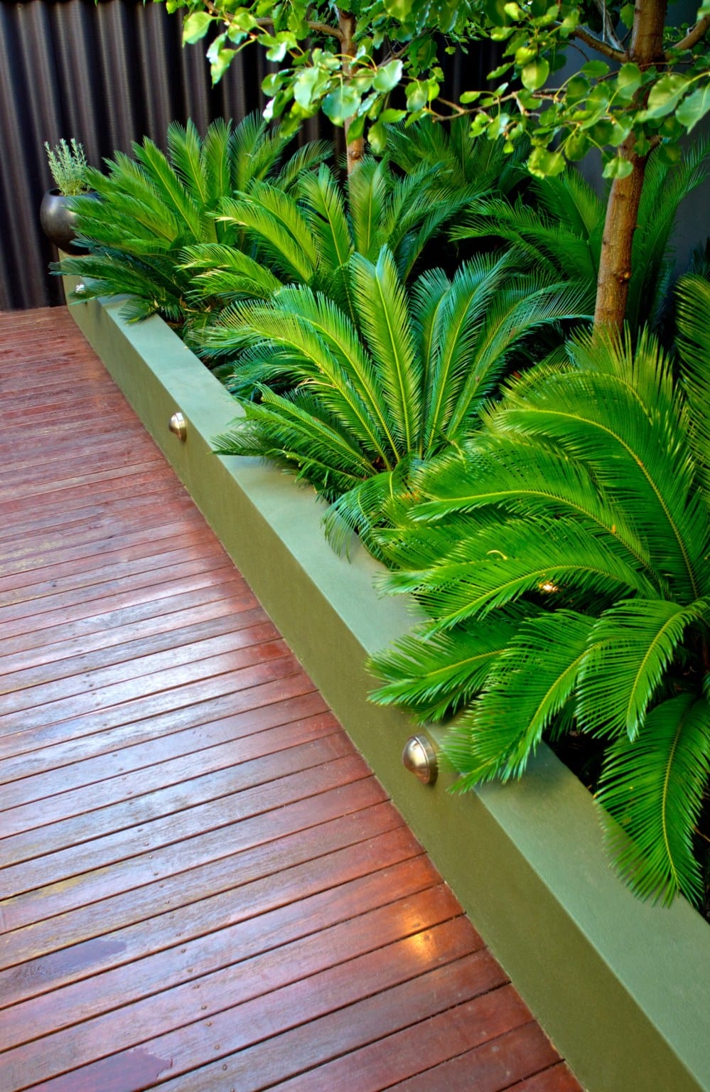 tropical garden design ideas uk