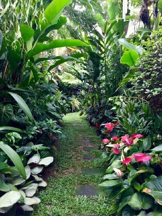 tropical backyard bamboo