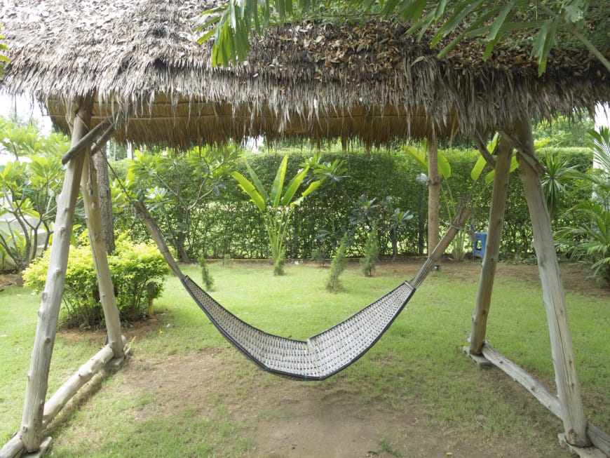 backyard free standing hammock