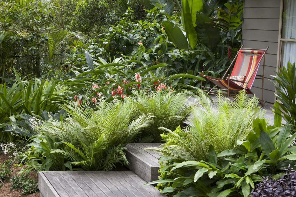 tropical garden edging ideas