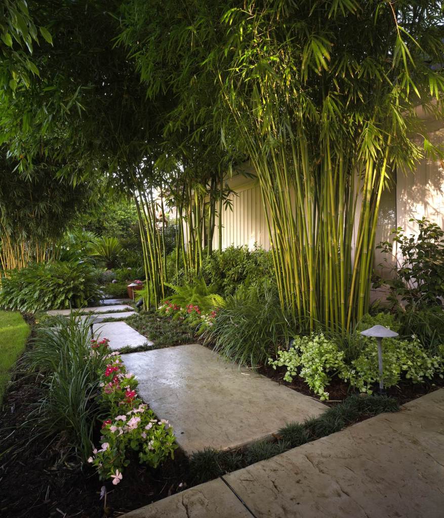 tropical garden layout ideas