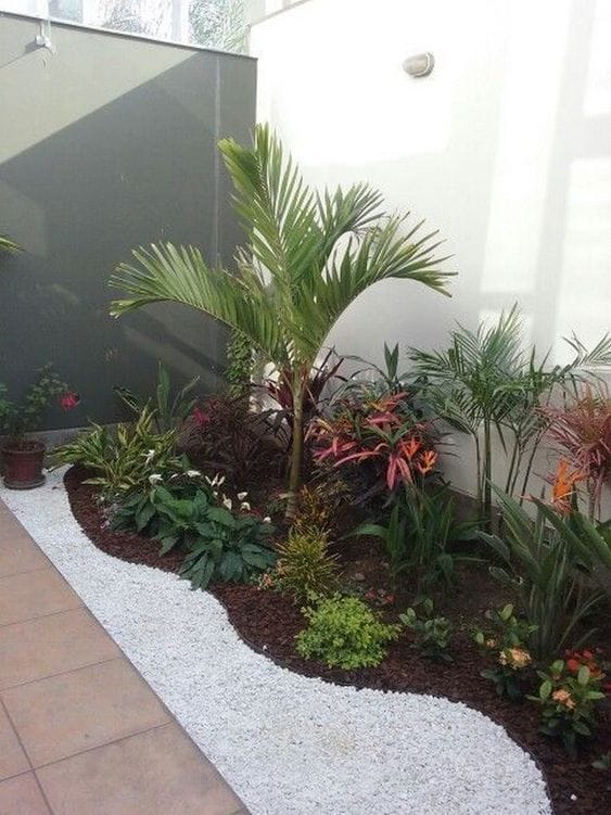 creating a tropical backyard