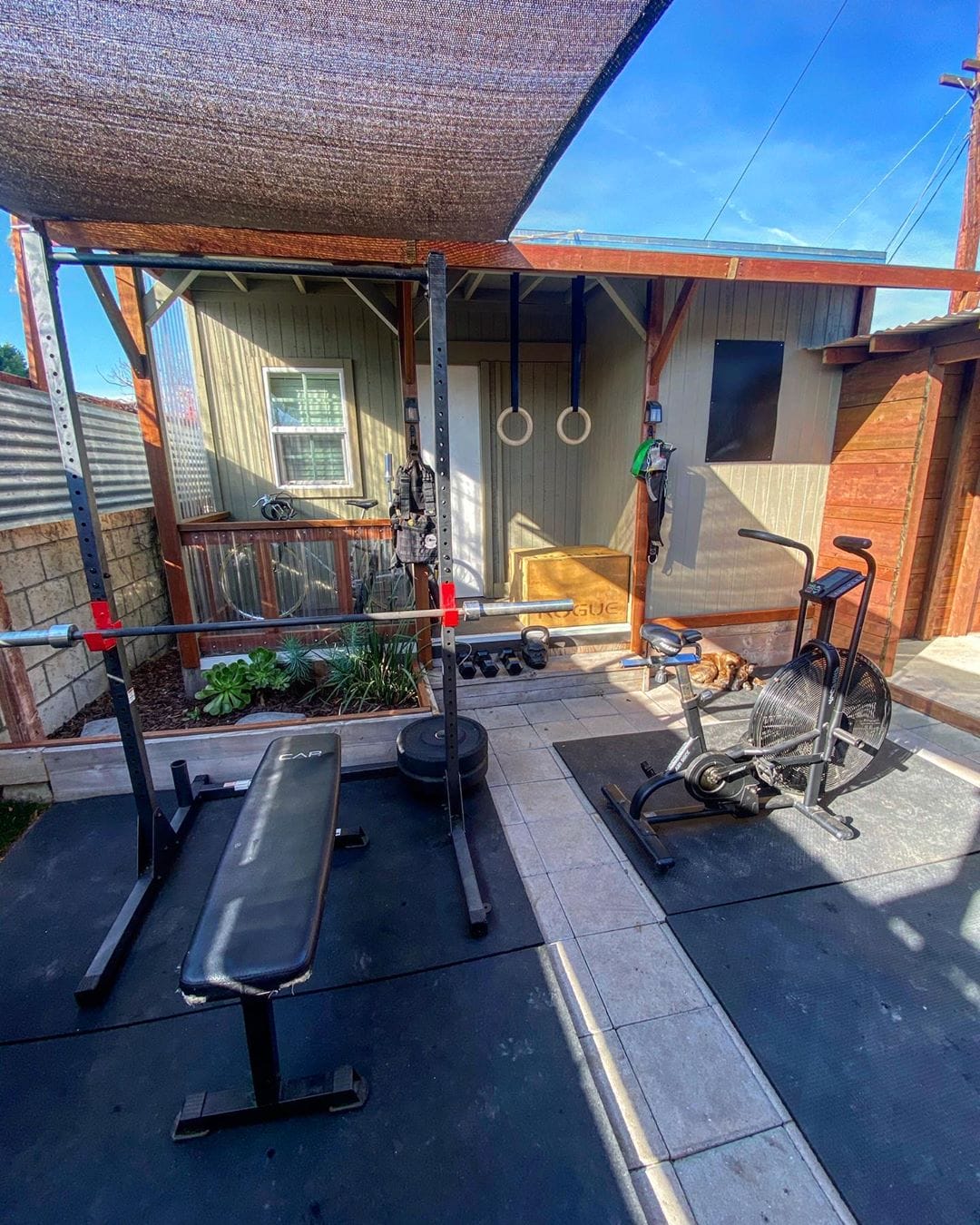 backyard climbing gym