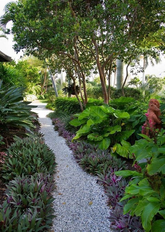 florida tropical backyard ideas