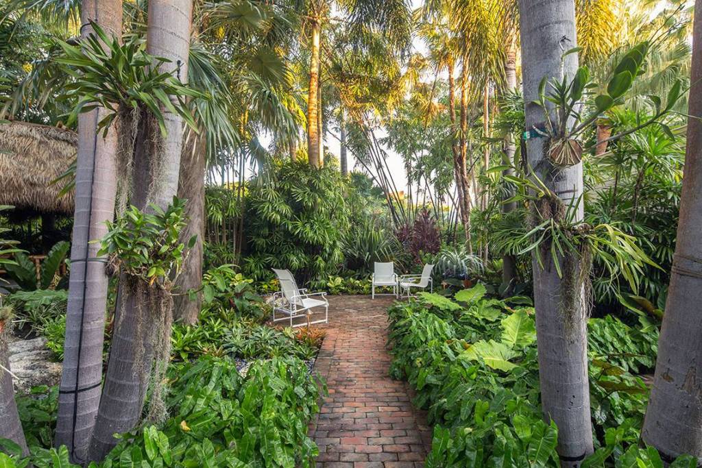 tropical garden bed ideas