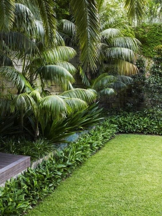 tropical themed backyard ideas