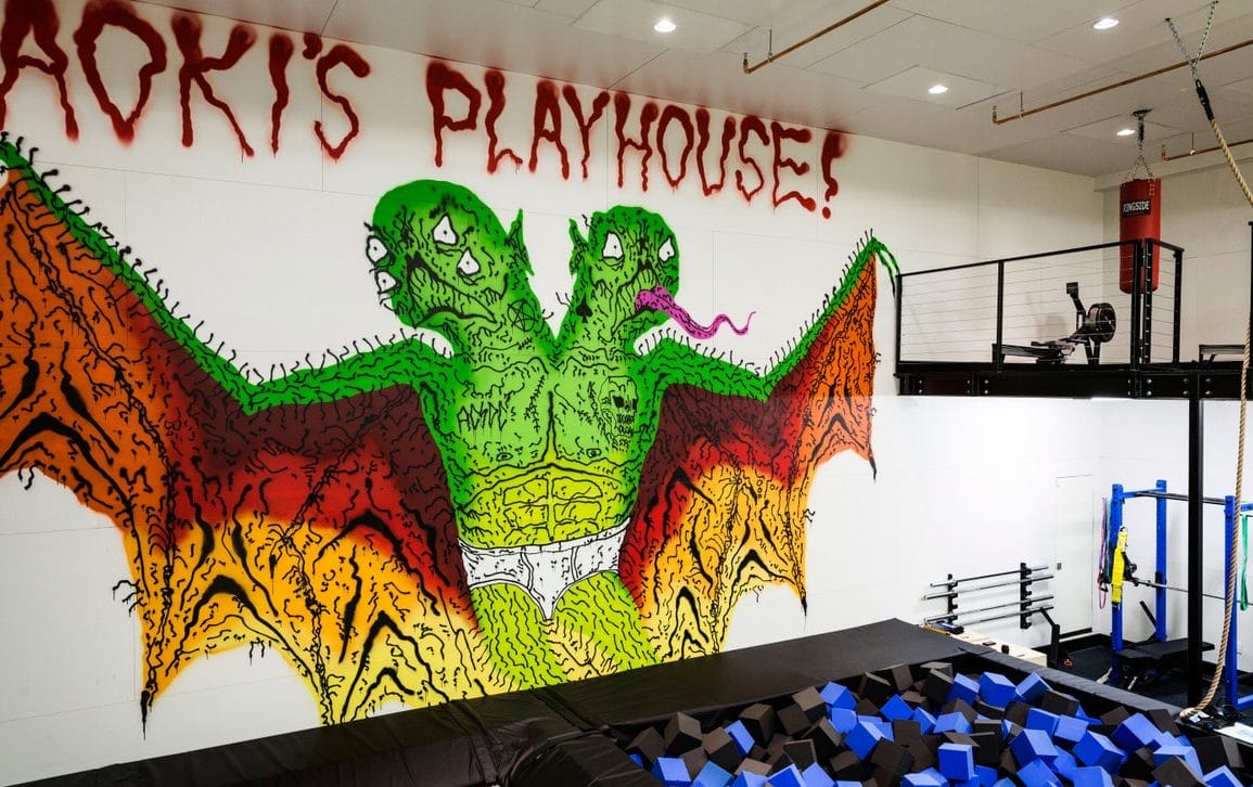 steve aoki home we'll go (take my hand)