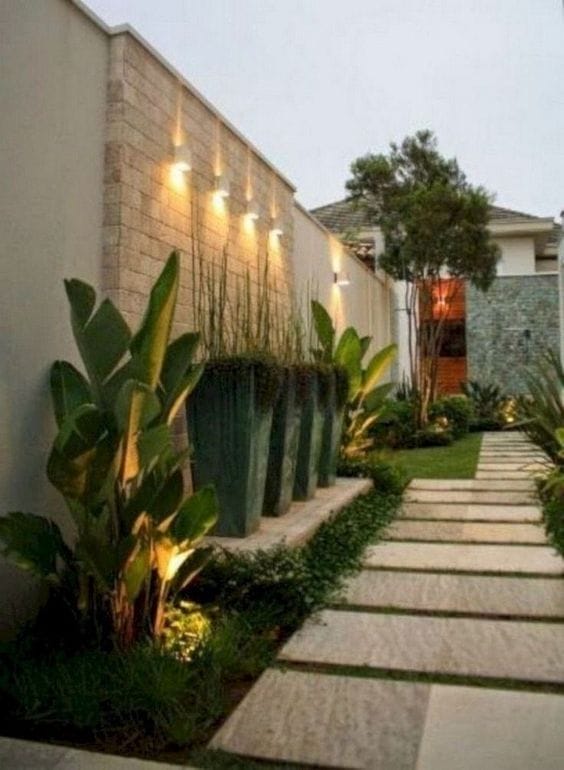 tropical backyard design