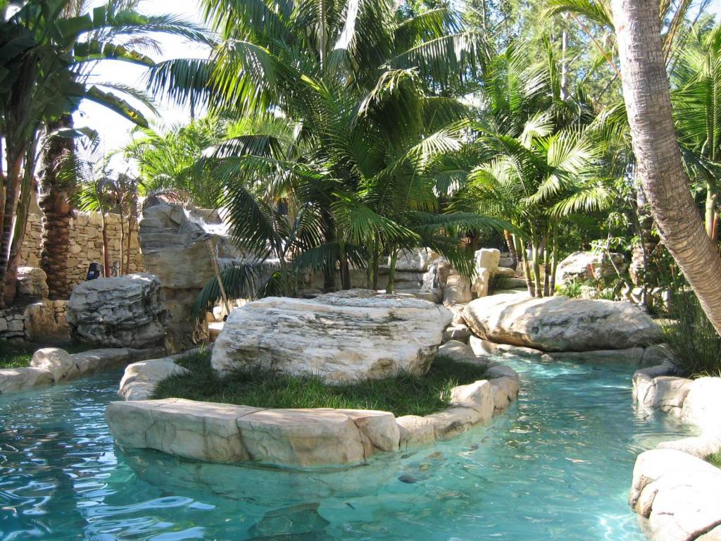 tropical garden ideas brisbane