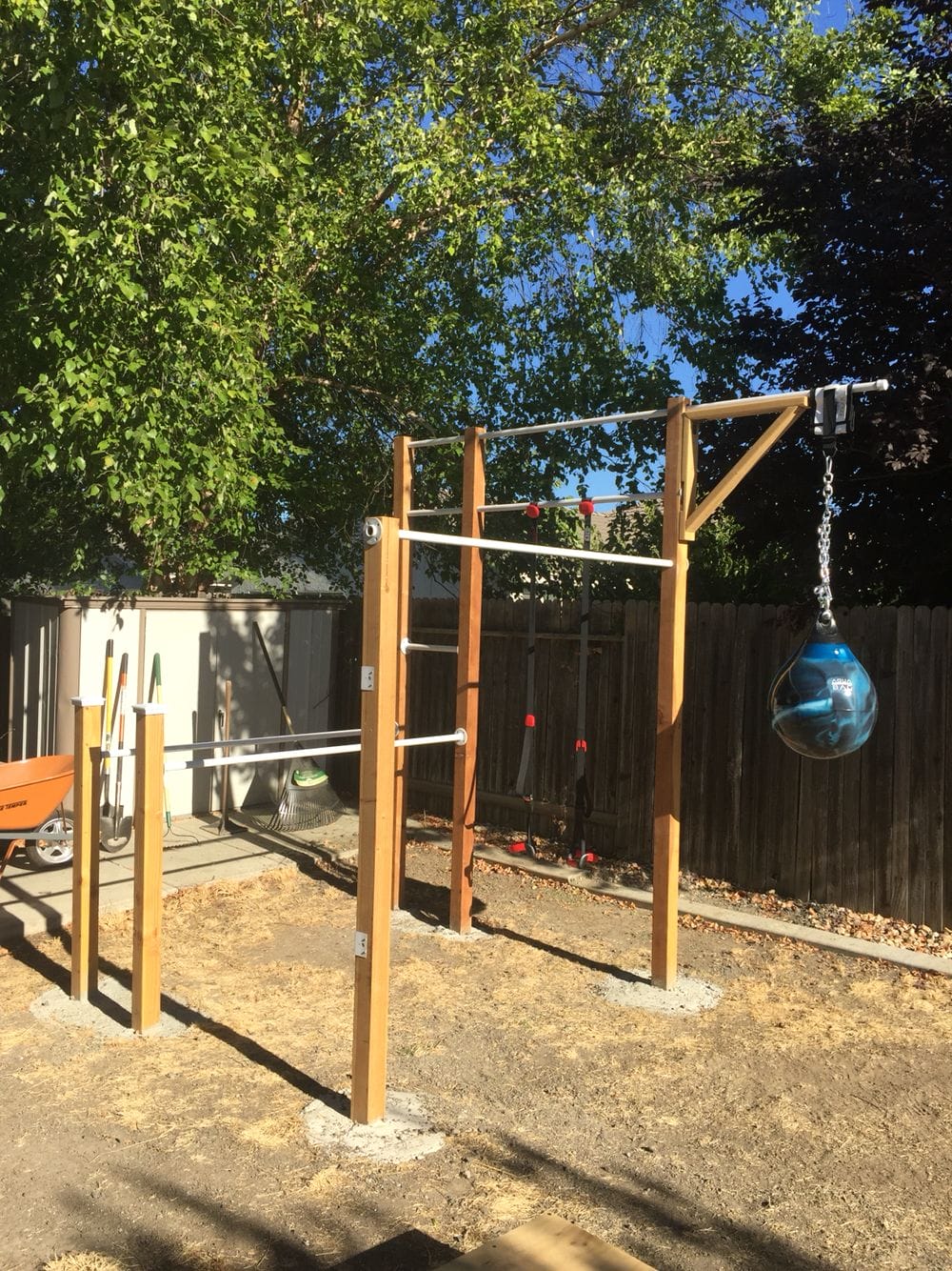 backyard dog gym