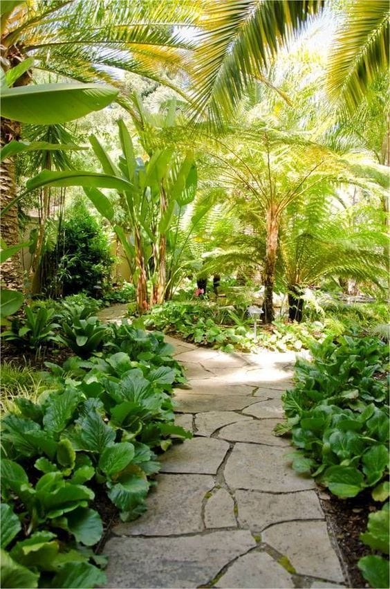 tropical backyard designs florida