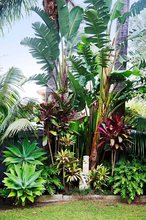 tropical backyard landscaping ideas