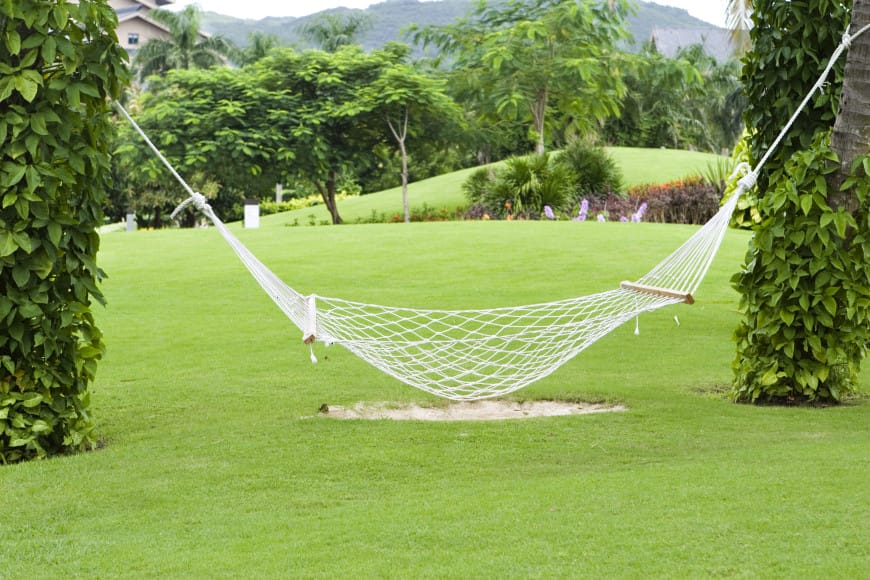  backyard hammock with stand