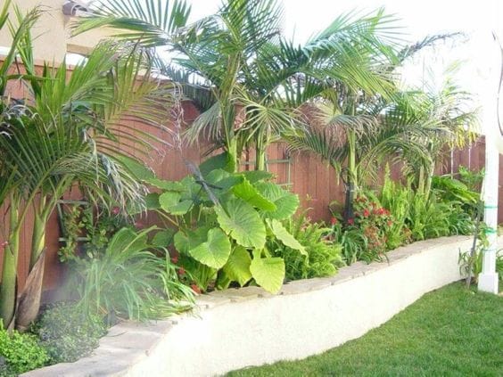 tropical backyard design ideas