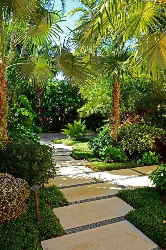 tropical backyard garden ideas