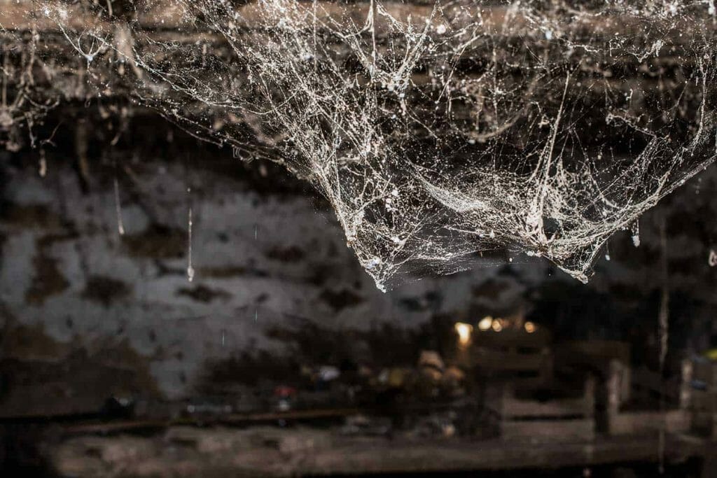 15 Incredible Tricks That'll Keep Spiders Out of Basements