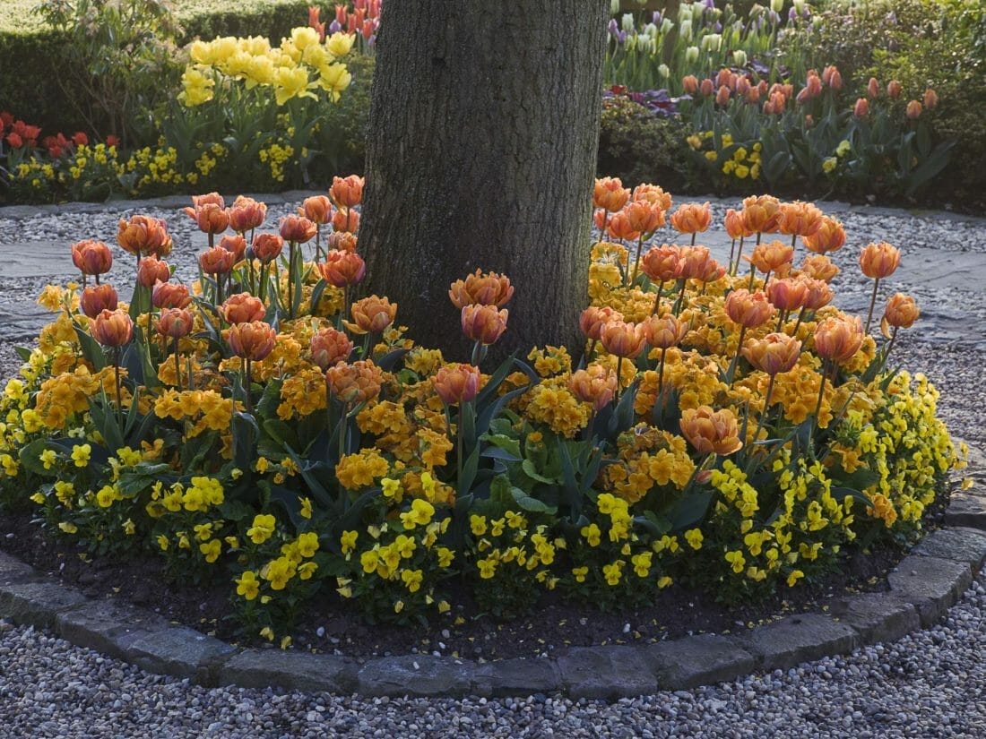 28 Fabulous Landscape Tree Ring Ideas You Should Copy