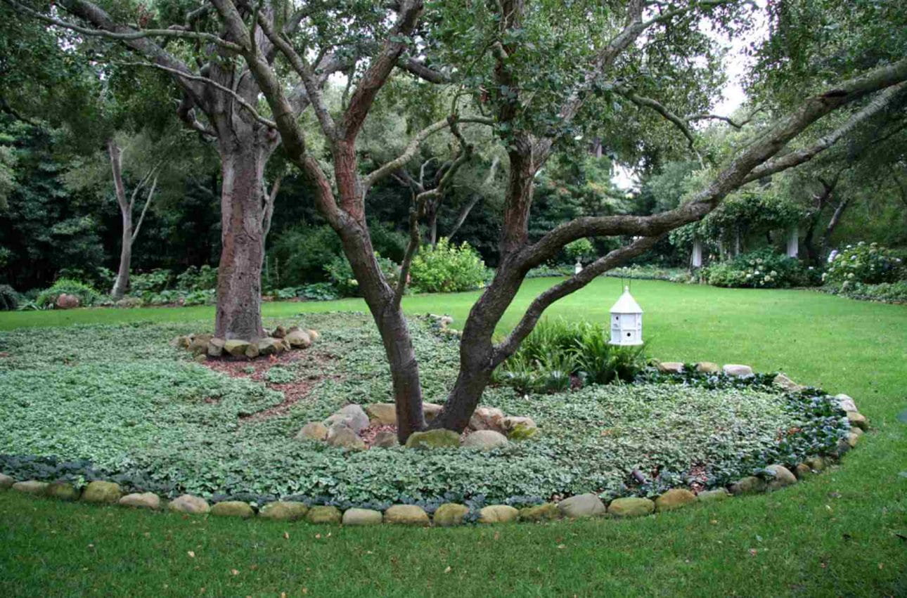 28 Fabulous Landscape Tree Ring Ideas You Should Copy
